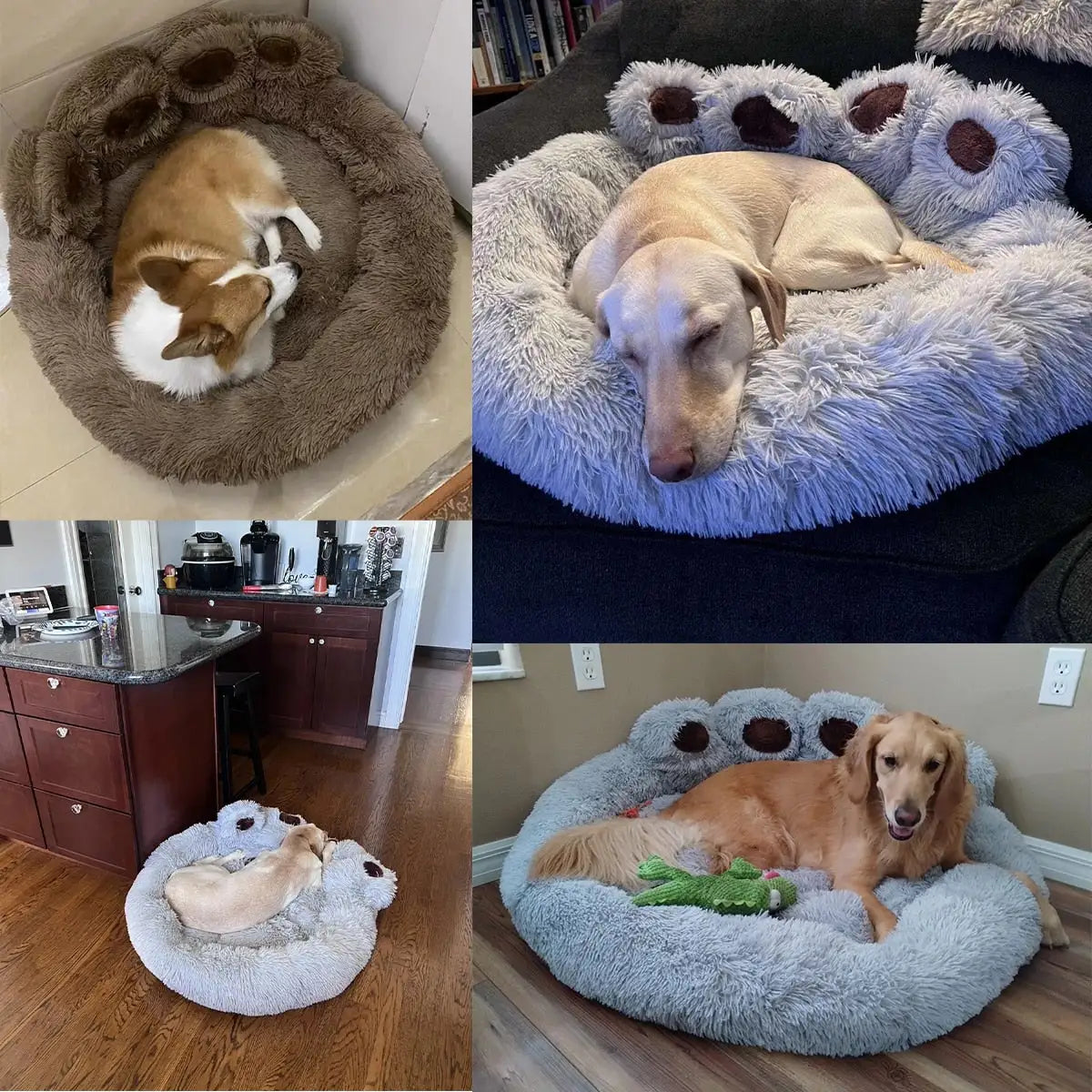 PawParadise PlushLounger: Luxury Sofa Beds for Your Posh Pup