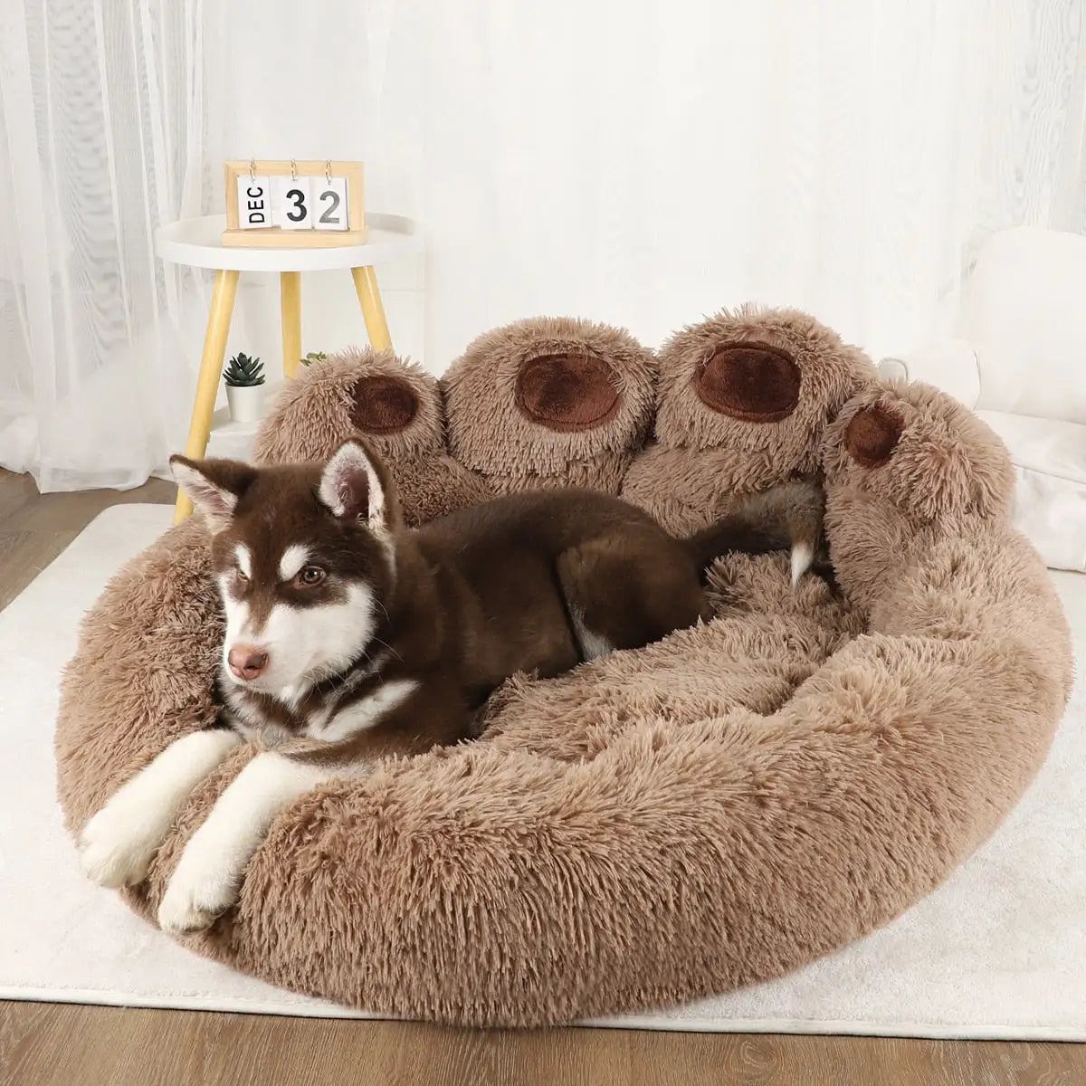 PawParadise PlushLounger: Luxury Sofa Beds for Your Posh Pup