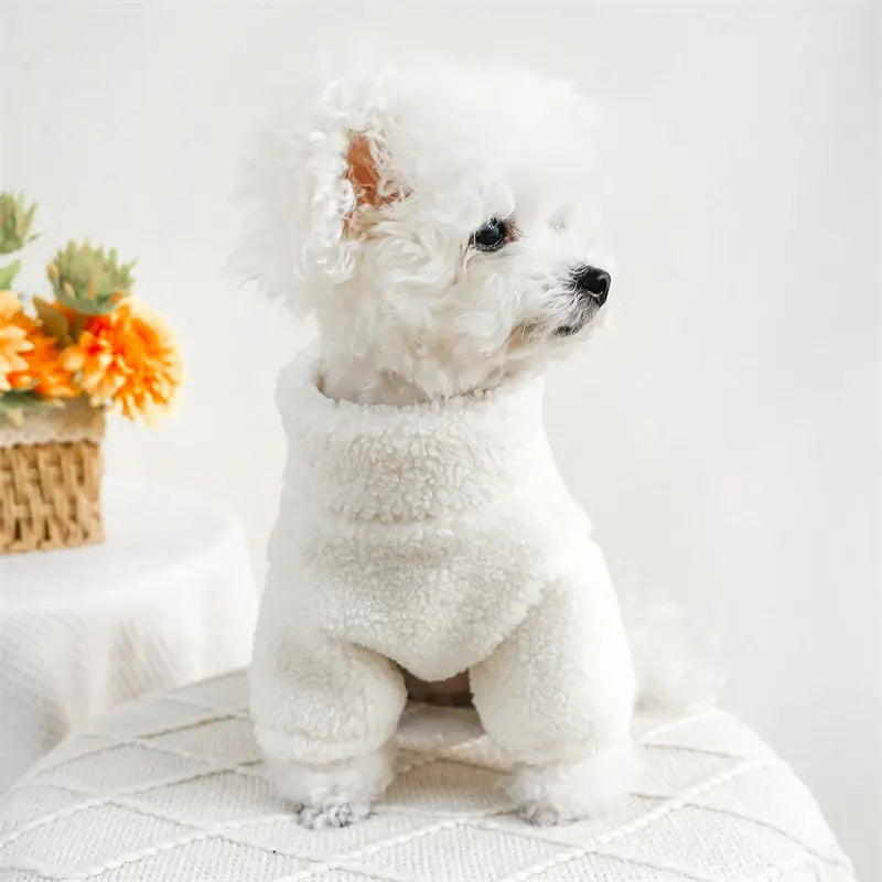 Modern Letters Winter Clothes for French Bulldog Fluffy Wind Proof Cat Sweatshirt Breathable Thick Fleece New Year York Dog Coat